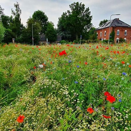 Art, Bed & Breakfast Велден Экстерьер фото