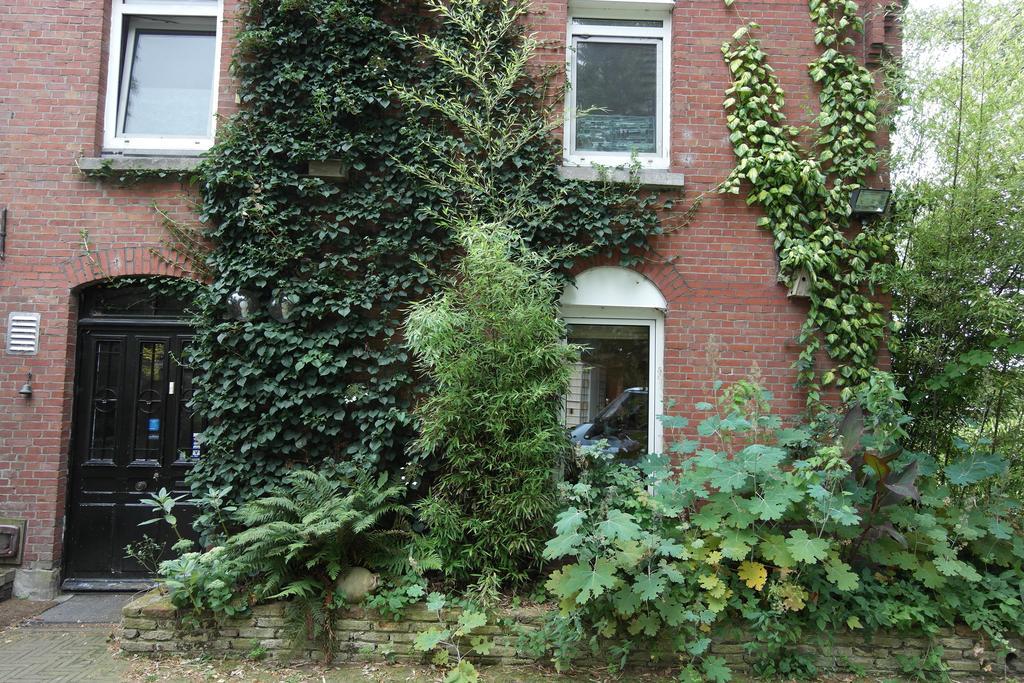 Art, Bed & Breakfast Велден Экстерьер фото